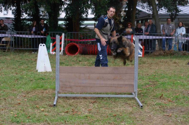 foire-haricots 2011-09-17et18